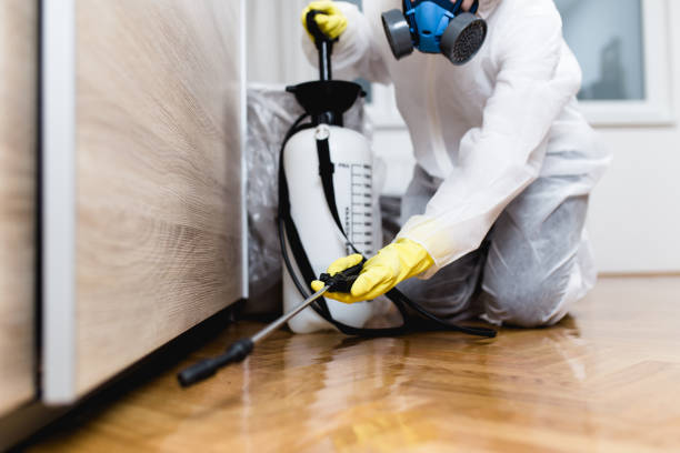 Best Cockroach Control Services  in De Queen, AR