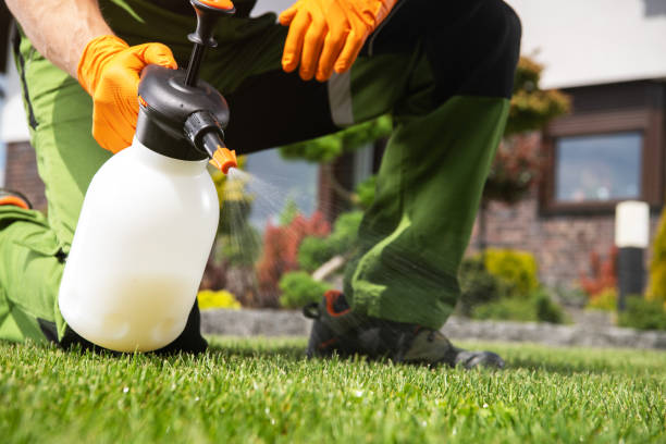 Best Pest Inspection Near Me  in De Queen, AR