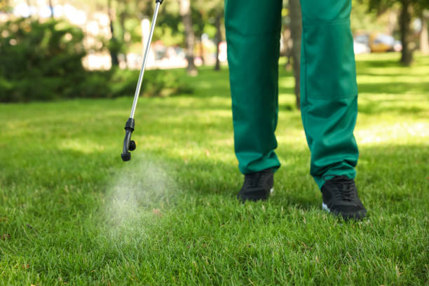 Flea Control Services in De Queen, AR