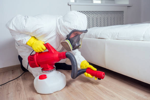 Professional Pest Control in De Queen, AR