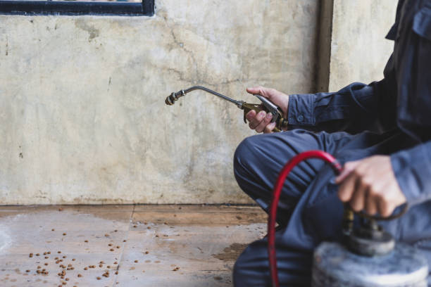 Best Best Pest Control Companies  in De Queen, AR