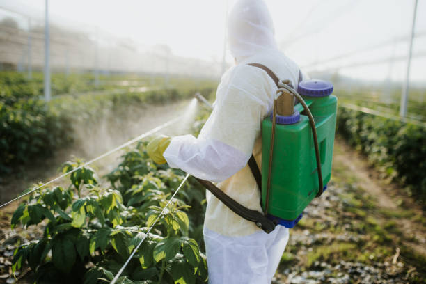 Best Mosquito Control Services  in De Queen, AR